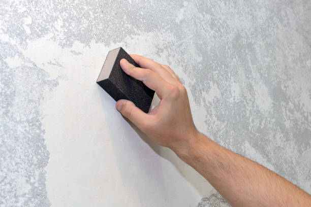 Best Industrial Mold Remediation  in Solvay, NY