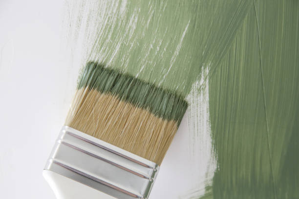  Solvay, NY Mold Removal Pros
