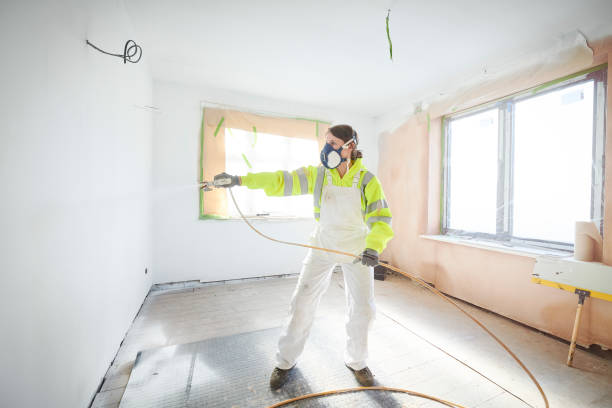 Best Environmental Consulting for Mold Prevention  in Solvay, NY