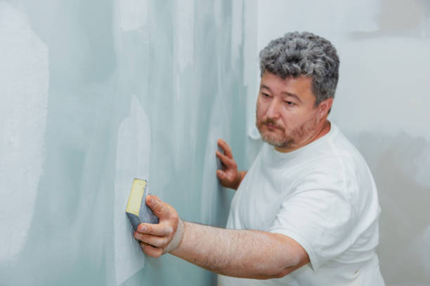 Best Mold Remediation for Healthcare Facilities  in Solvay, NY