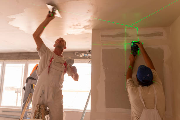 Best Attic Mold Removal  in Solvay, NY