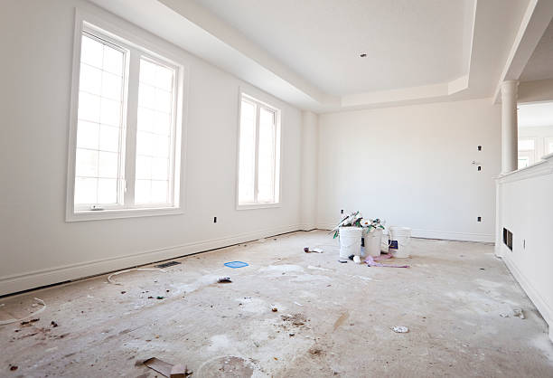Best Basement Mold Removal  in Solvay, NY
